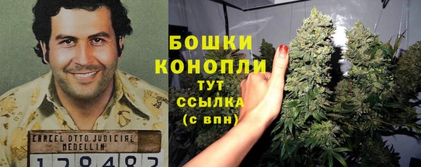 ешки Алзамай