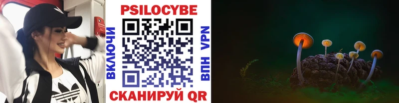 hydra зеркало  как найти закладки  Хвалынск  Псилоцибиновые грибы Magic Shrooms 